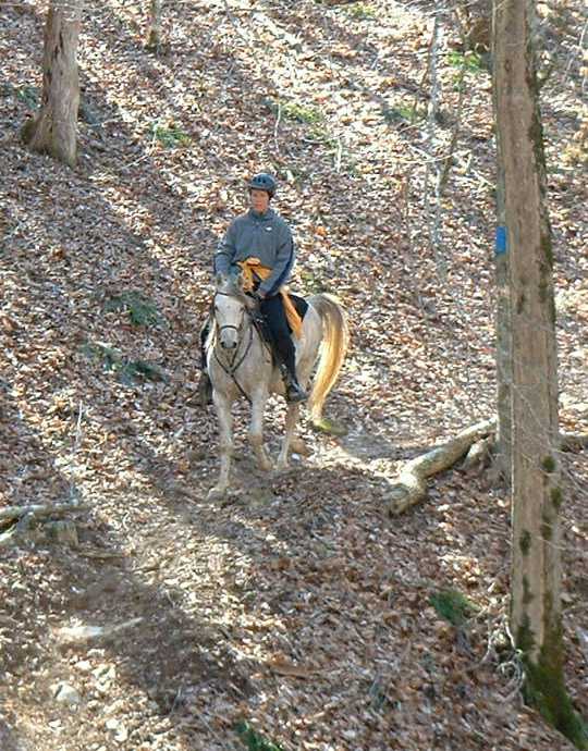 Riding Summer Saga in the woods